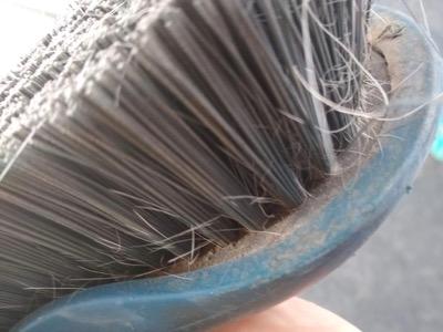 dirty horse grooming brush