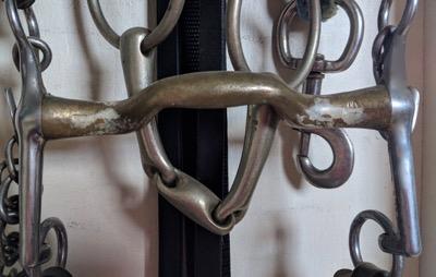 dressage bits bridoon and curb