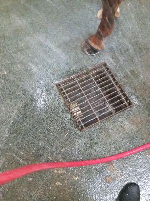 wash rack drain