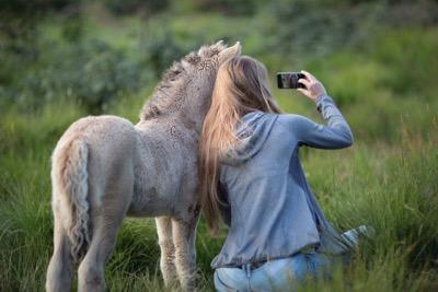 dangerous pose with a horse