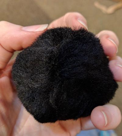 large black ear puff