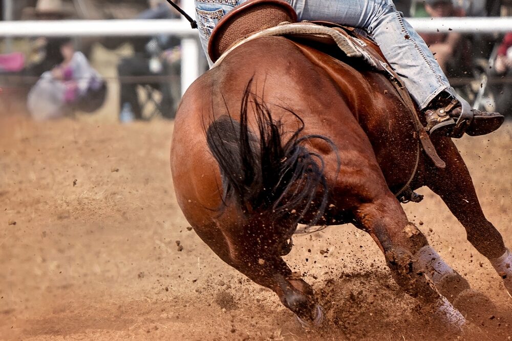barrel horse showing the hindquarters low to the ground