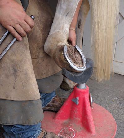 farrier with horse hoof on hoof stand
