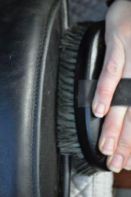 brush cleaning a saddle