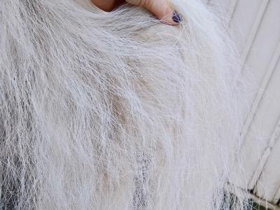 spray a horse tail with show touch ups for volume