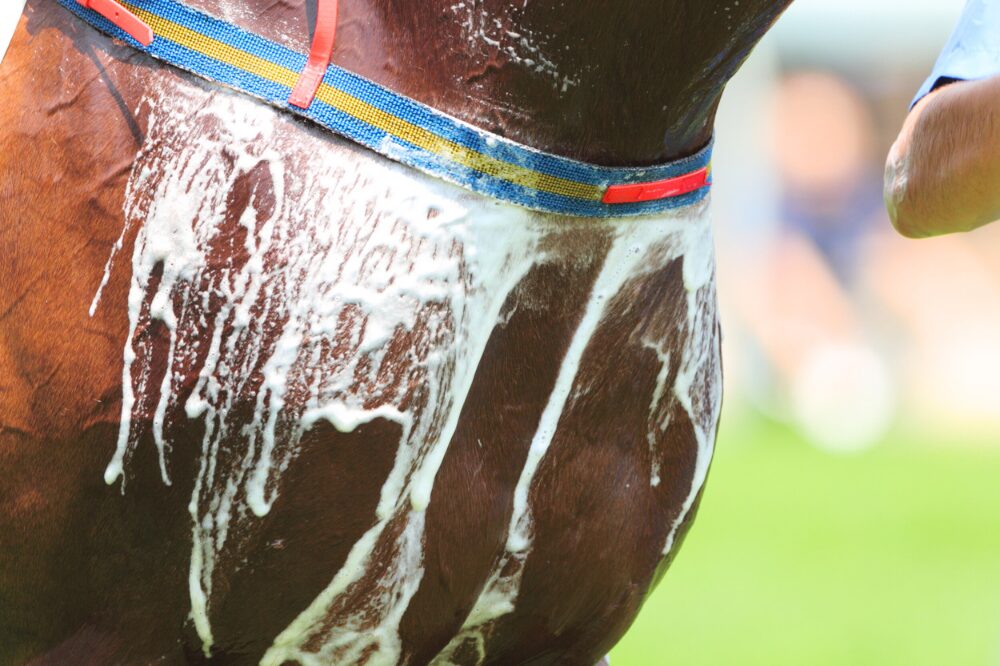 foamy sweat under a breastplate