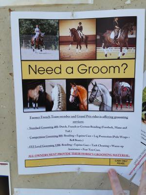 freelance groom flyer