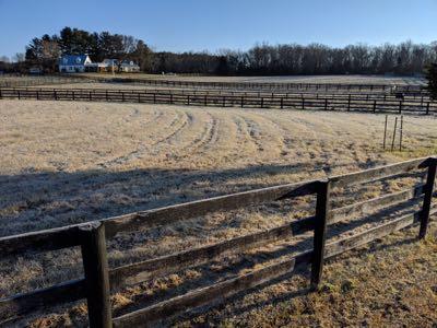 frosty horse pasture and fence