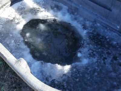 frozen horse water trough