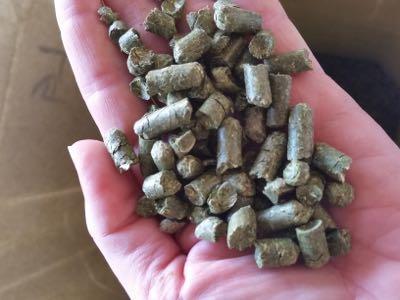 hay pellets in a hand