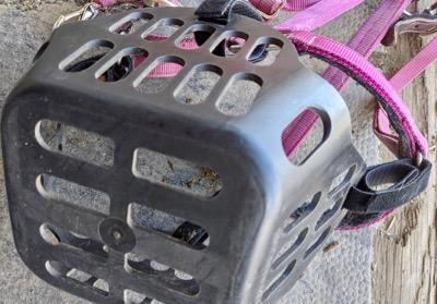 bottom of a greenguard grazing muzzle basket