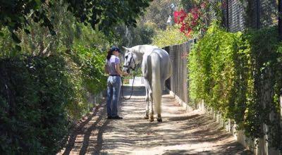 groom and horse in san diego barn