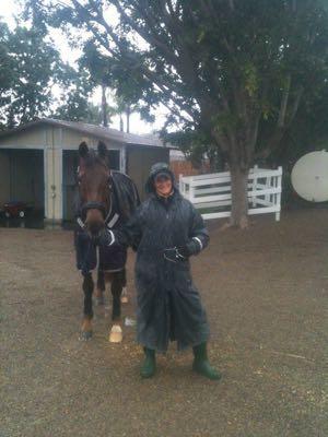 groom and horse in the rain