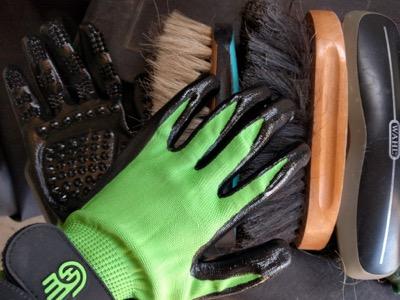 grooming brushes and grooming gloves in a row