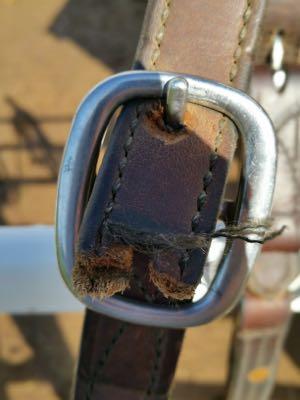 halter with broken crownpiece