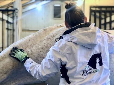 groom in white jacket brushing gray horse