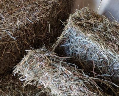 flakes of grass hay stacked