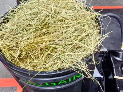 steamed hay in a round hay gain