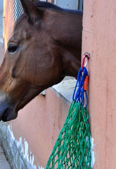 hay net attached with caribener