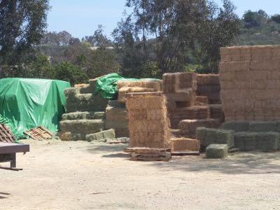 feed store stacks of hay in the sun