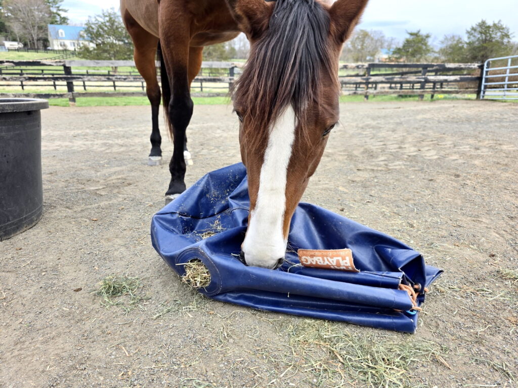 horse eating hay out of a hayplay bag that is almost empty