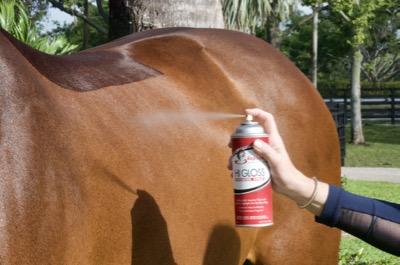 Hi gloss finishing spray used outside on dark horse
