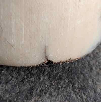small vertical hoof crack