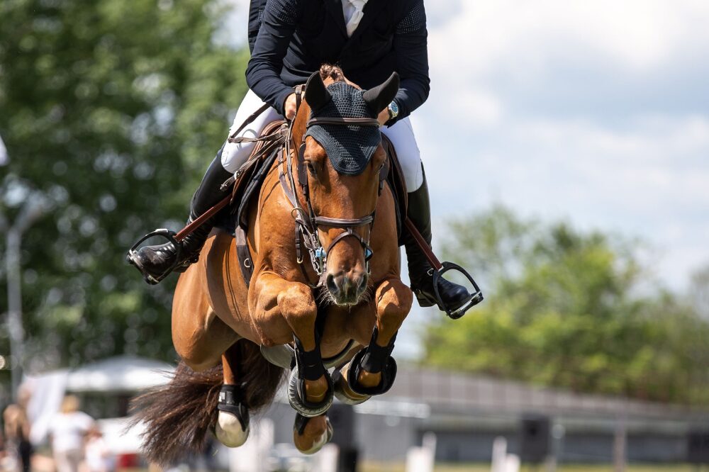 horse jumping a fence, showing all 4 legs tucked under the body