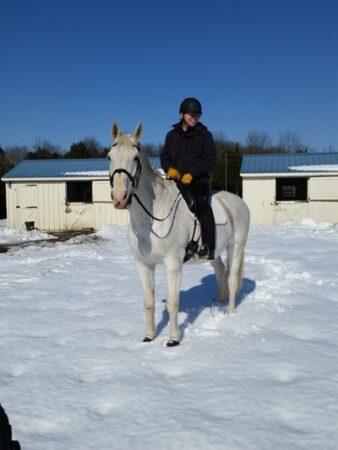 horse-in-snow-with-rider