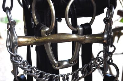 double bridle with curb bit and bridoon
