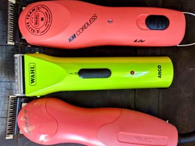 orange and green clippers