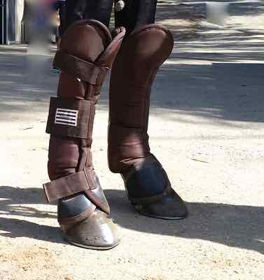 horse shipping boots