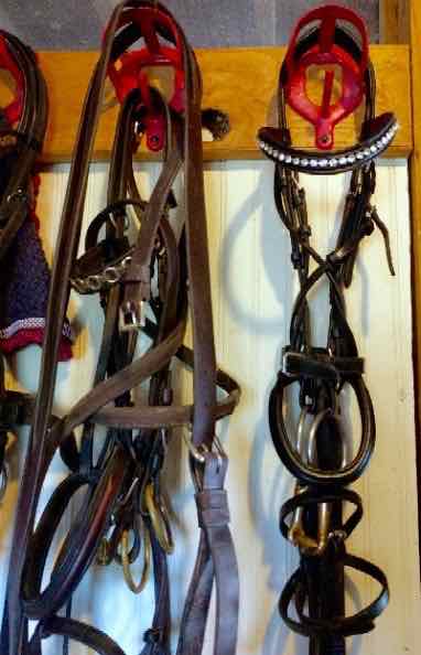 figure 8 bridle vs a messy bridle in a tack room