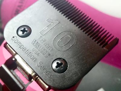 number 10 blade up close