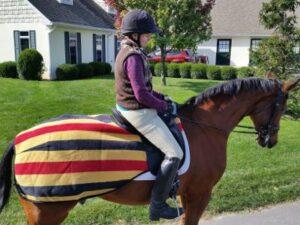 quarter-sheet-cool-out-horse-cold-weather