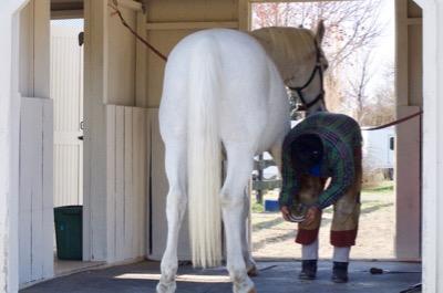 farrier in cross ties