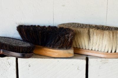 three horse brushes, a finishing brush soft brush and hard brush