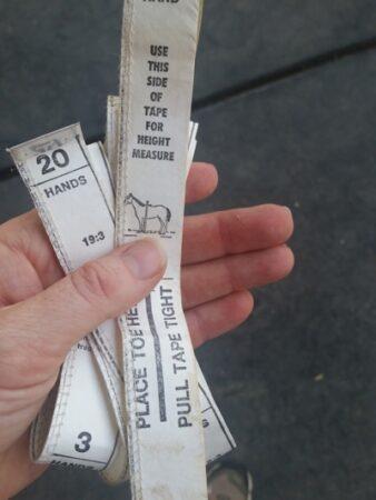 horse weight and height tape