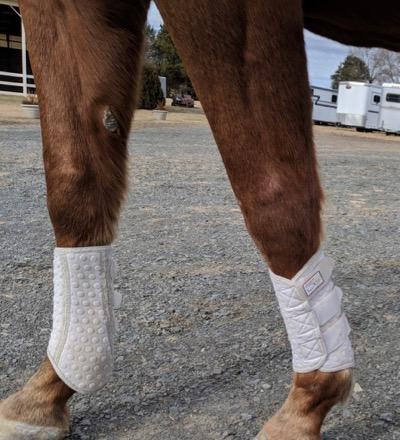 white sport boots on red horse