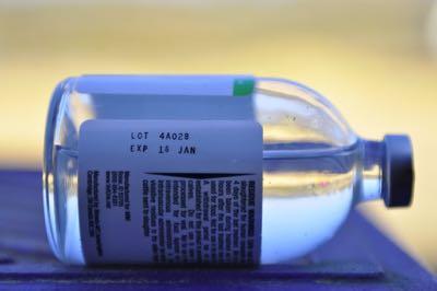 bottle of horse medications