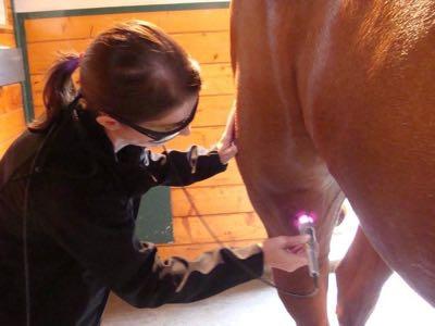 vet tech doin a laser treatment