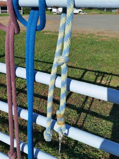 lead rope with knot