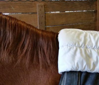 leg quilt used as padding for wither area under blanket