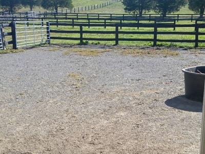 dry lot with a feed tub for slow feeder