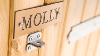 wood stall door with horse name plate