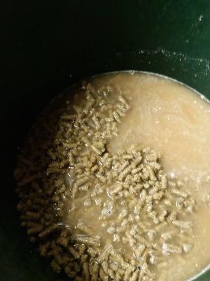 horse food soaking in water