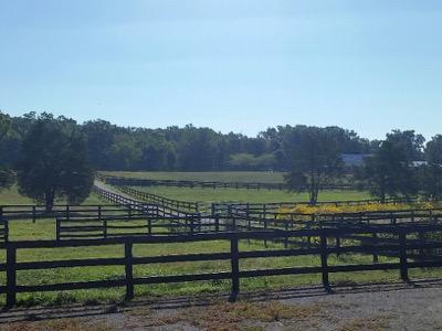 many rolling fields with lush green pasture