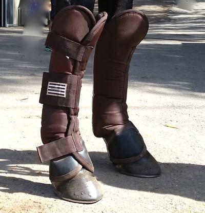 brown shipping boots