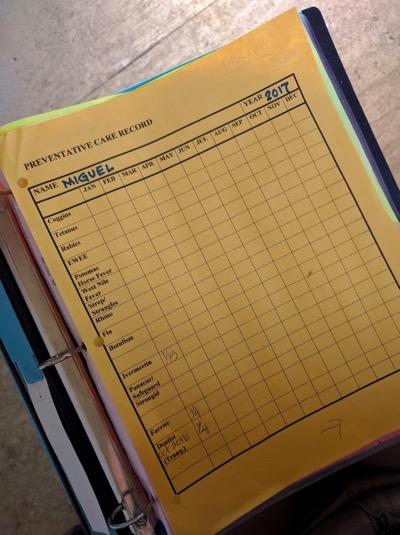 notebook for horse medications