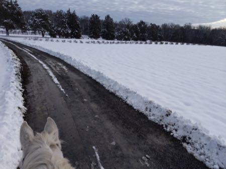 snow along driveway